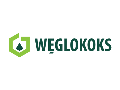 WĘGLOKOKS